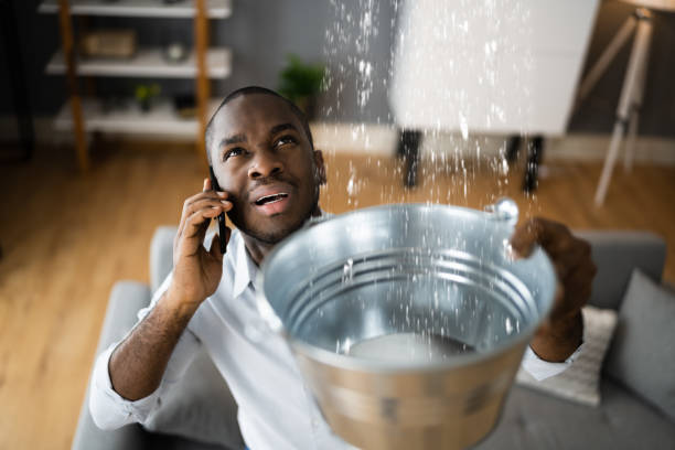 Best Flood damage cleanup  in Chattahoochee, FL
