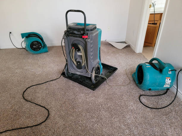 Reliable Chattahoochee, FL Water damage restoration Solutions