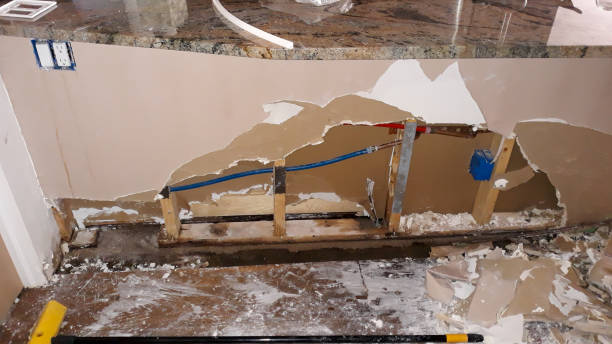 Best Flooded house restoration  in Chattahoochee, FL