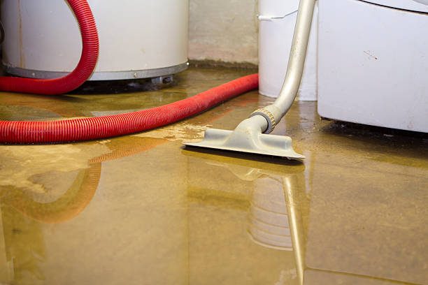 Best Water damage restoration near me  in Chattahoochee, FL