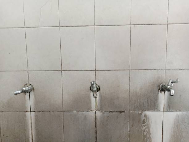 Best Flood restoration services  in Chattahoochee, FL