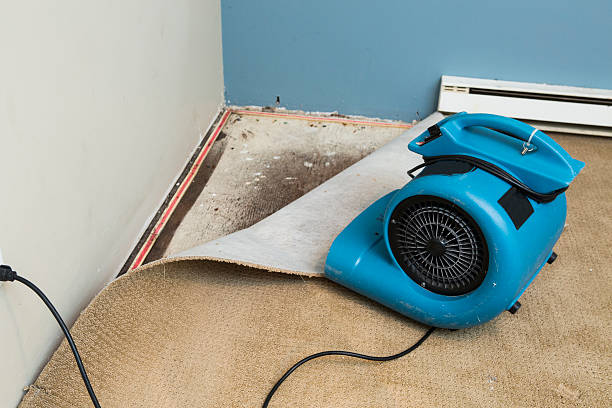 Best Commercial water damage restoration  in Chattahoochee, FL
